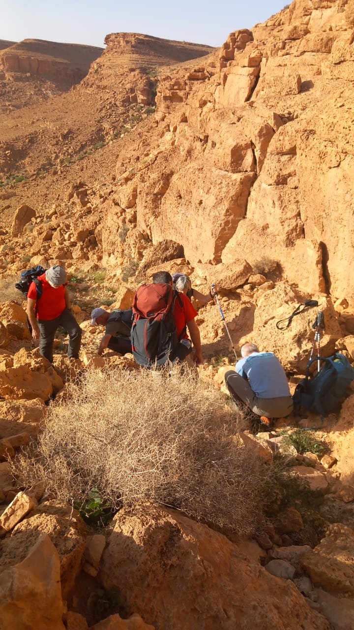 Rencontres des habitants oasiens